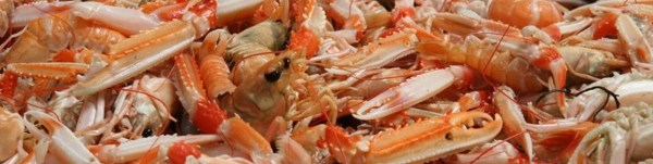 image showing langoustines