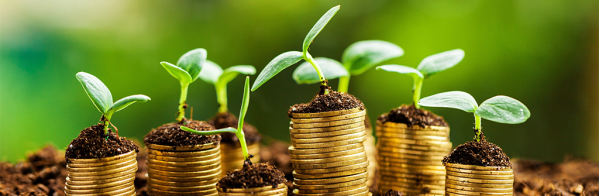 Green shoots growing form small piles of coins