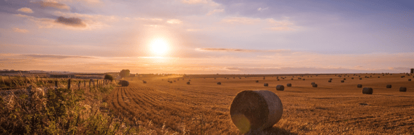 Countryside photo