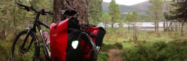 Image of a bike in a forest.