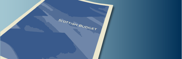 Picture of budget document